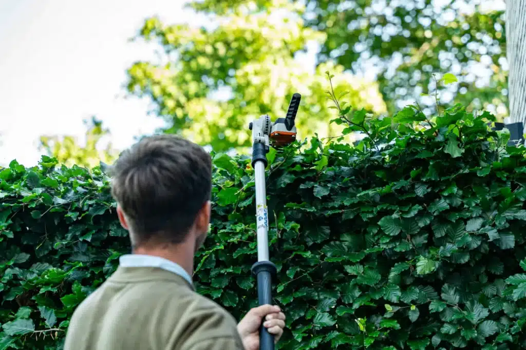 Tuinonderhoud Nijmegen