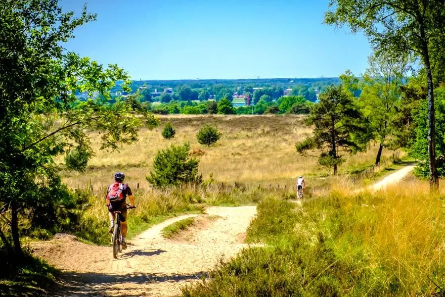 Natuurgebied Mookerheide nabij Molenhoek, wandel en fietspad door het natuurgebied heen