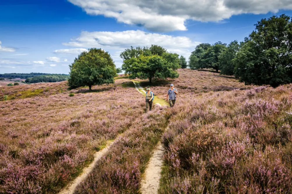 Het natuurpark de Veluwezoom aan de voet bij Rheden