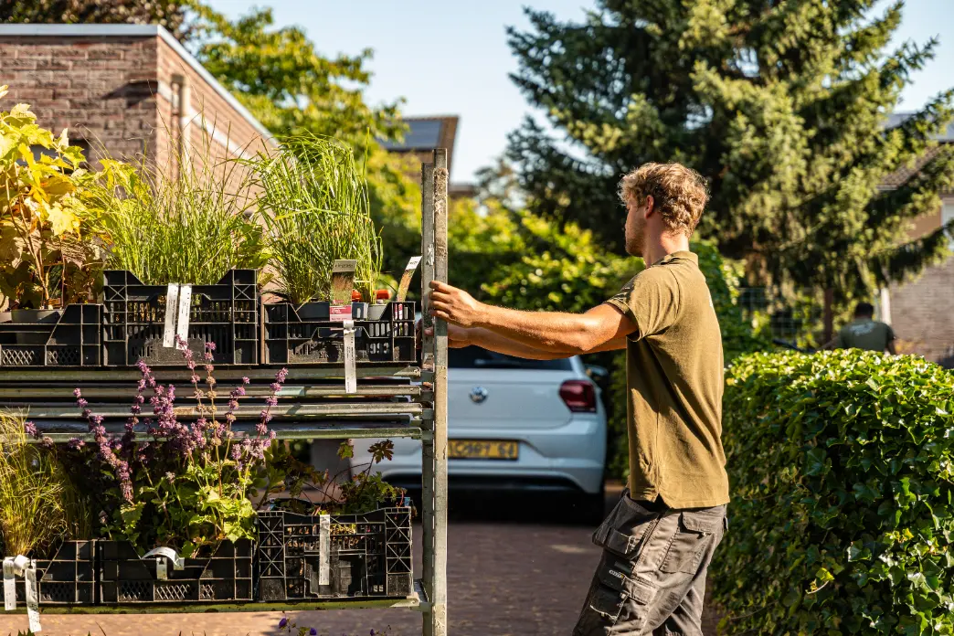 Levering van de beplanting van een moderne groene tuin in Druten. Beplanting wordt aangeplant op basis van een beplantingsplan. Tuinontwerp, tuinaanleg en tuinonderhoud door Uw Tuin Hoveniers uit Malden