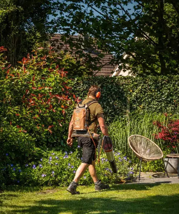 Tuinonderhoud van een klassieke groene tuin in Malden. Tuinontwerp, tuinaanleg en tuinonderhoud door Uw Tuin Hoveniers uit Malden